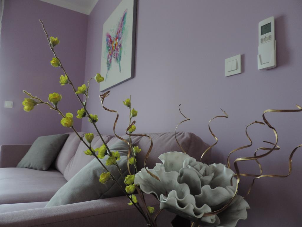 Apartment Tajana Residence زادار المظهر الخارجي الصورة
